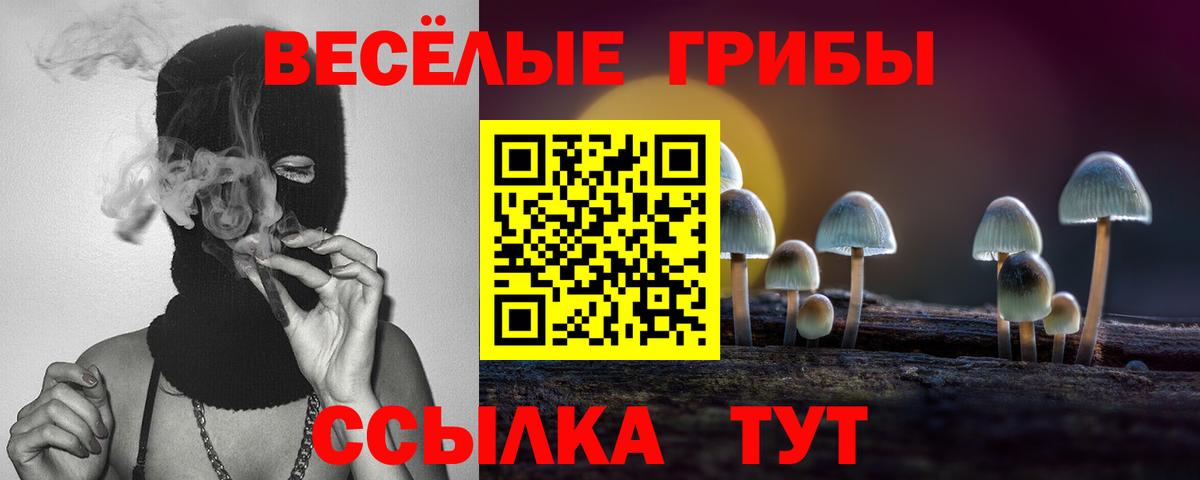 Галлюциногенные грибы Psilocybine cubensis Рассказово
